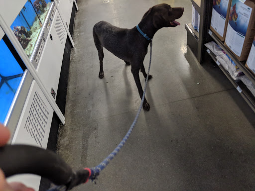 Pet Supply Store «Petco Animal Supplies», reviews and photos, 693 Middletown Warwick Rd, Middletown, DE 19709, USA