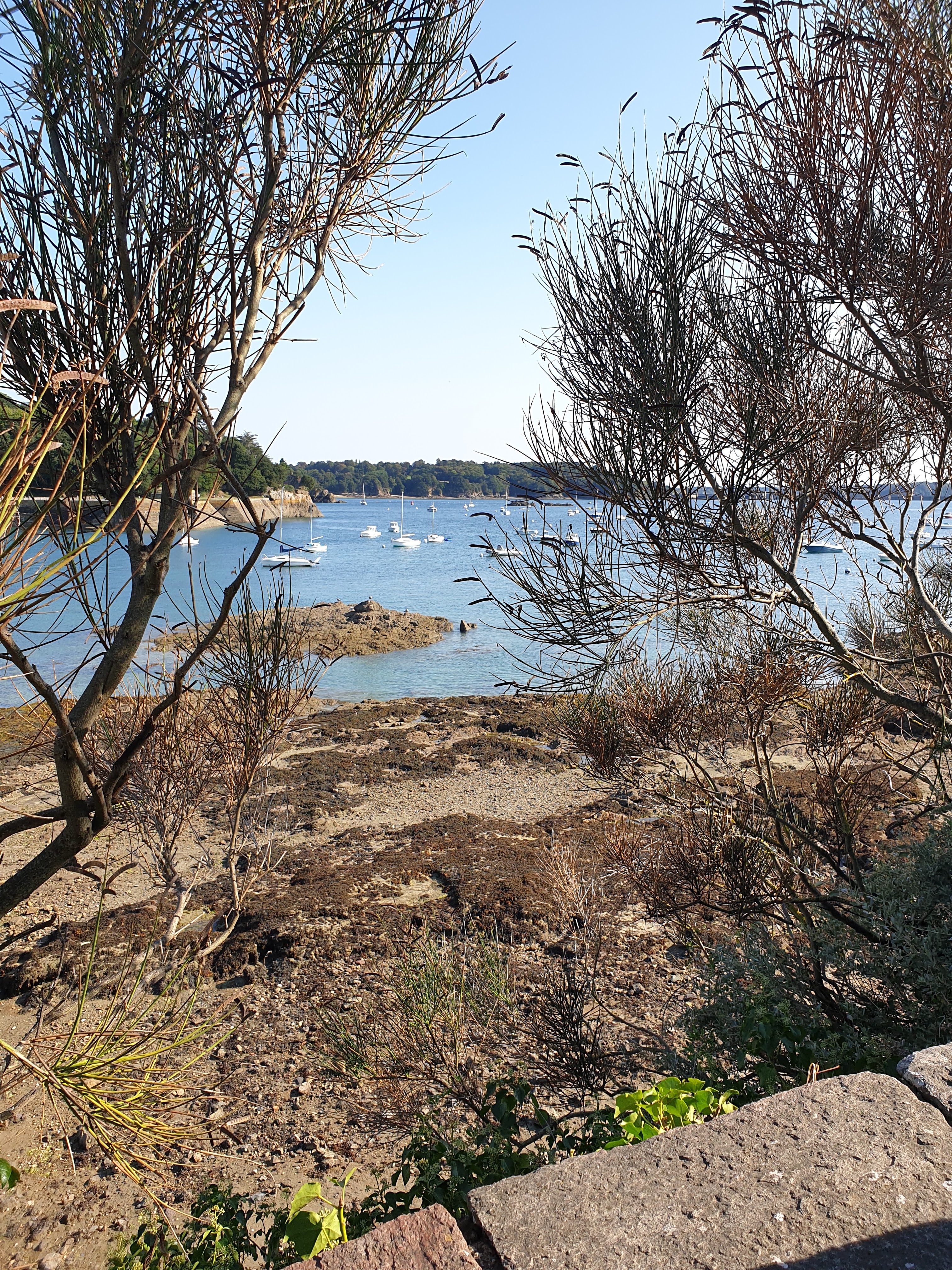 Photo n° 1 de l'avis de Laetitia.o fait le 12/09/2020 à 16:04