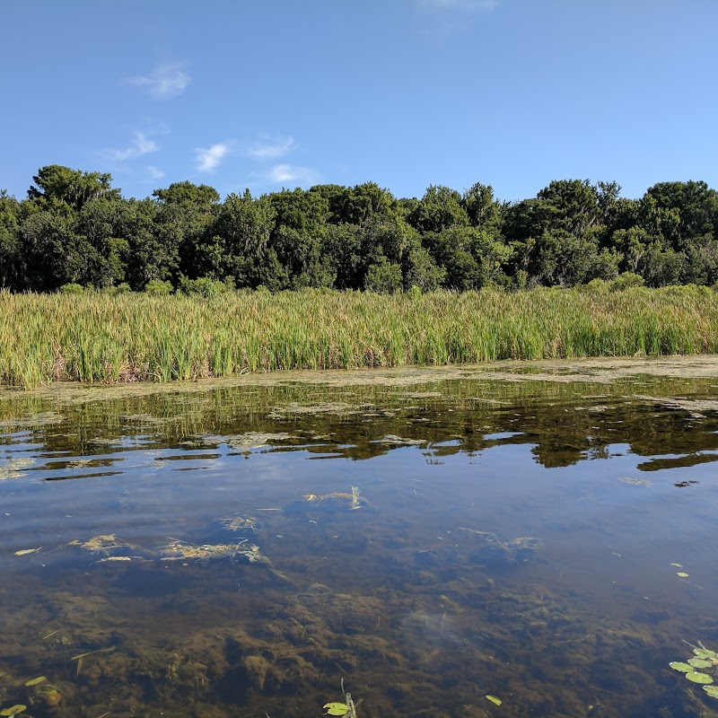 Lake Panasoffkee