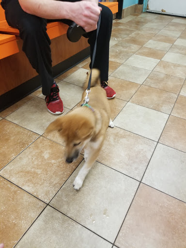 Pet Supply Store «PetSmart», reviews and photos, 1700 Fruitville Pike, Lancaster, PA 17601, USA