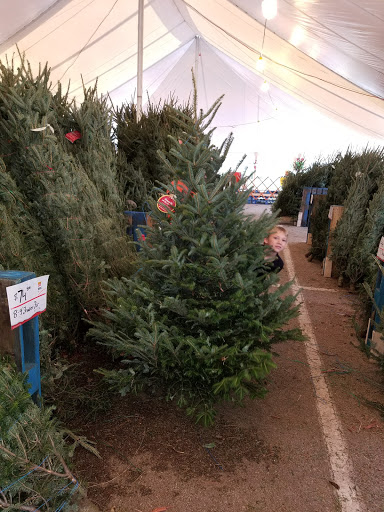 Supermarket «ALDI», reviews and photos, 770 St Lucie W Blvd, Port St Lucie, FL 34986, USA