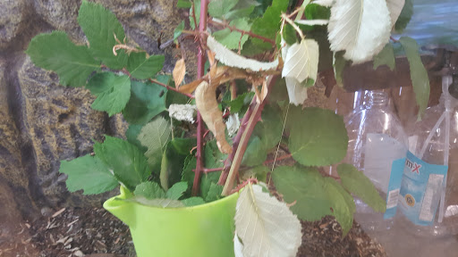 Zoo «Reptile Zoo», reviews and photos, 22715 US-2, Monroe, WA 98272, USA