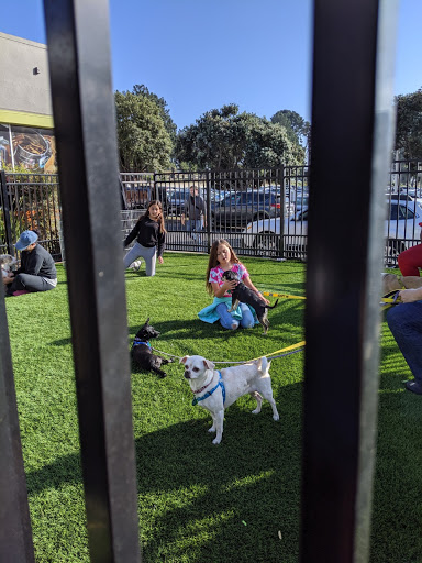 Pet Supply Store «Pet Food Express», reviews and photos, 3160 20th Ave, San Francisco, CA 94132, USA