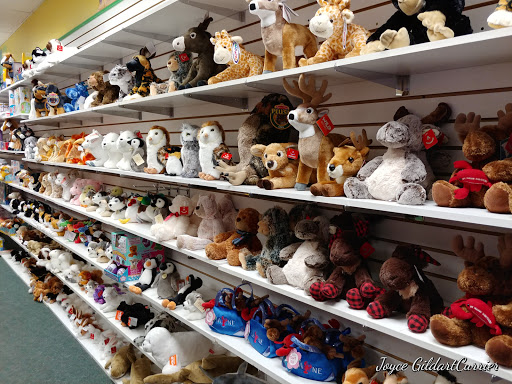 Toy Store «Union River Book & Toy Co», reviews and photos, 100 Main St, Ellsworth, ME 04605, USA