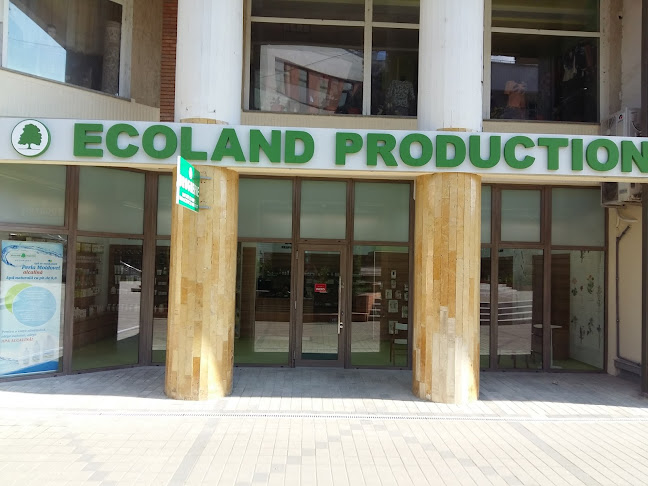 Ecoland Production