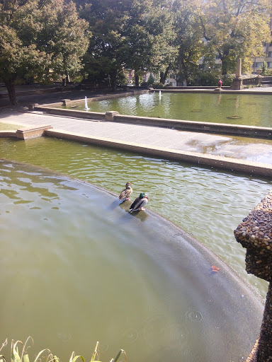 Park «Meridian Hill Park», reviews and photos, 2400 15th St NW, Washington, DC 20009, USA