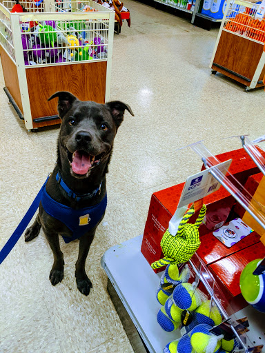 Pet Supply Store «PetSmart», reviews and photos, 5418 E 41st St, Tulsa, OK 74135, USA