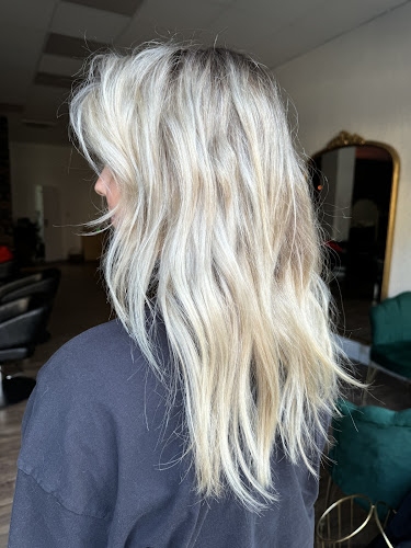 Salon Image