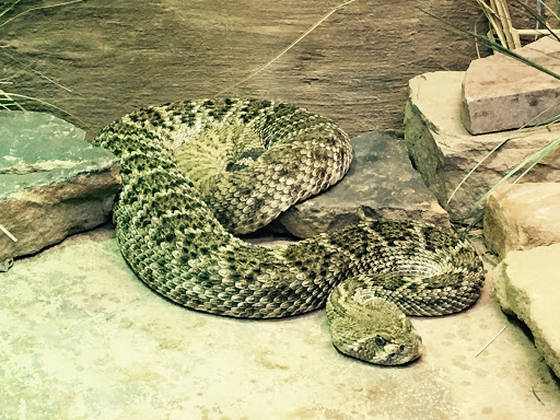 Zoo «Detroit Zoo», reviews and photos, 8450 W 10 Mile Rd, Royal Oak, MI 48067, USA