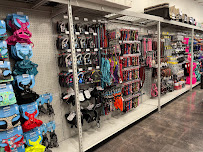 Carter’s Pet Mart Lodi - Photo 4 - Car repair in Lodi, CA, Stockton