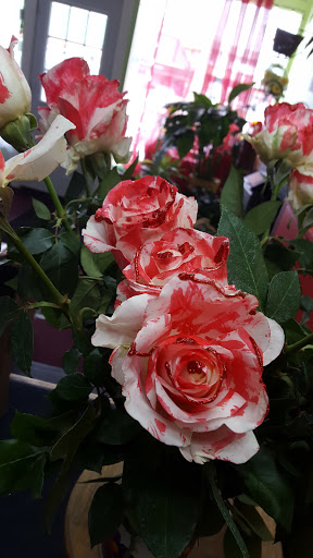 Florist «A Touch of Elegance Florist», reviews and photos, 360 S Franklin Ave, Belleville, NJ 07109, USA