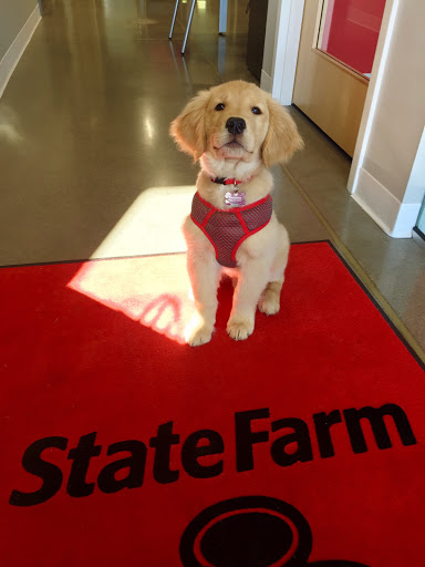 Auto Insurance Agency «Chad Babcock - State Farm Insurance Agent», reviews and photos