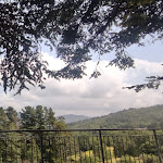 Photo n°3 de l'avis de antonella.o fait le 22/07/2023 à 14:29 sur le  Albergo Ristorante La Veranda à Tavarone