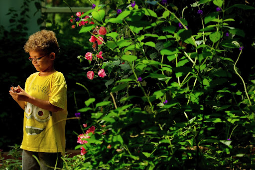 Museum «Discovery Place Nature», reviews and photos, 1658 Sterling Rd, Charlotte, NC 28209, USA