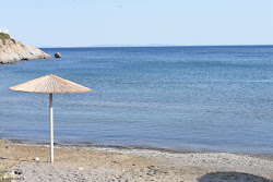 Fasoli Beach'in fotoğrafı imkanlar alanı