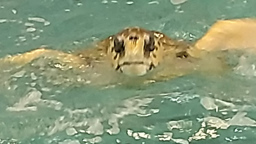 National Park «Fort Pickens», reviews and photos, 1400 Fort Pickens Rd, Pensacola Beach, FL 32561, USA