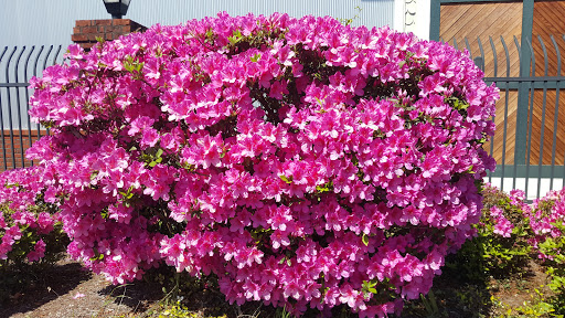 Self-Storage Facility «Monkey Junction Self Storage», reviews and photos, 5044 Carolina Beach Rd, Wilmington, NC 28412, USA