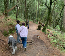 Ermita La Curva photo