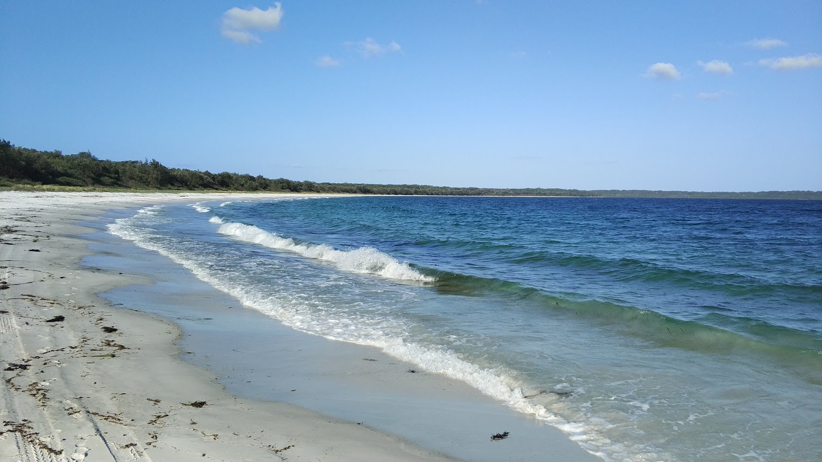 Foto van Chinamans Beach gelegen in een natuurlijk gebied