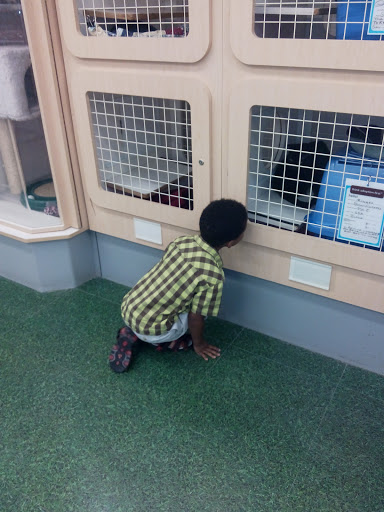 Pet Supply Store «Petco Animal Supplies», reviews and photos, 1125 S Kirkwood Rd, Kirkwood, MO 63122, USA