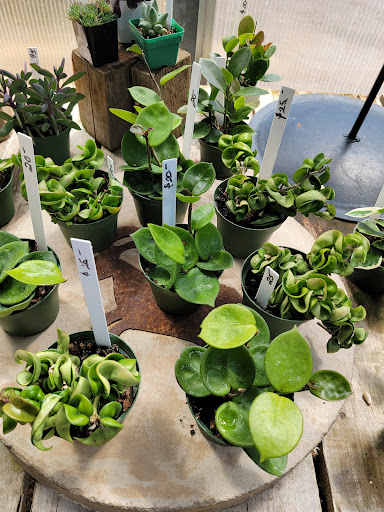 Florist «Platte Floral», reviews and photos, 1417 E Platte Ave, Colorado Springs, CO 80909, USA