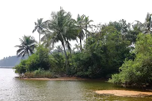 Anjarakandy river image
