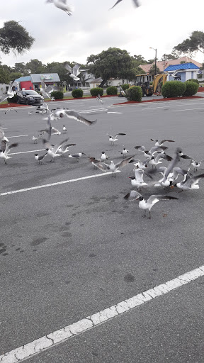 Grocery Store «Food Lion», reviews and photos, 5901 E Oak Island Dr, Oak Island, NC 28465, USA