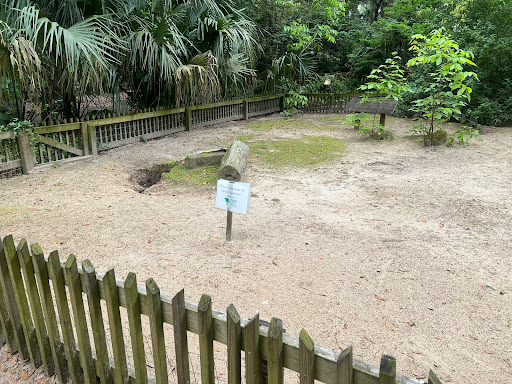 Nature Preserve «Tree Hill Nature Center», reviews and photos, 7152 Lone Star Rd, Jacksonville, FL 32211, USA