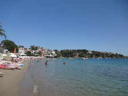 Paralia Megali Ammos'in fotoğrafı imkanlar alanı