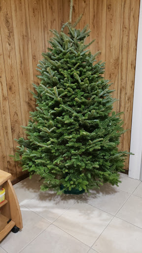 Market «Rising Up Garden Center, Landscape Design, & Florist», reviews and photos, 1314 St George Ave, Avenel, NJ 07001, USA