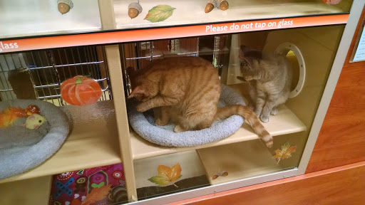 Pet Supply Store «PetSmart», reviews and photos, 131 Town Center Rd, King of Prussia, PA 19406, USA