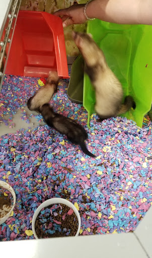 Pet Supply Store «Petco Animal Supplies», reviews and photos, 1007 Ten Rod Rd, North Kingstown, RI 02852, USA