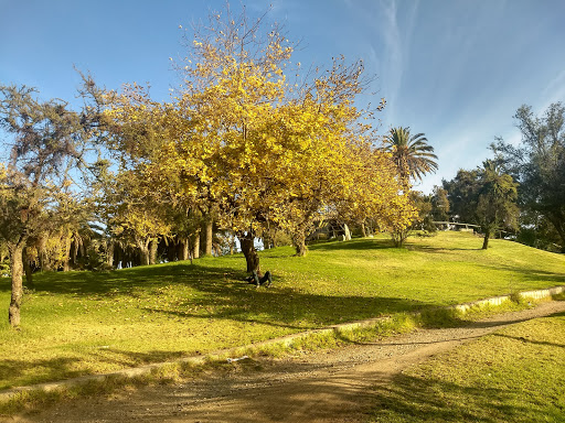Parquemet Parque Metropolitano de Santiago