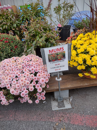Hardware Store «Rocking R Ace Hardware», reviews and photos, 1030 S High St, Harrisonburg, VA 22801, USA