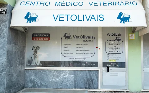 Vetolivais - Centro Médico Veterinário, Lda image