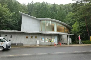 Kuji Amber Museum image