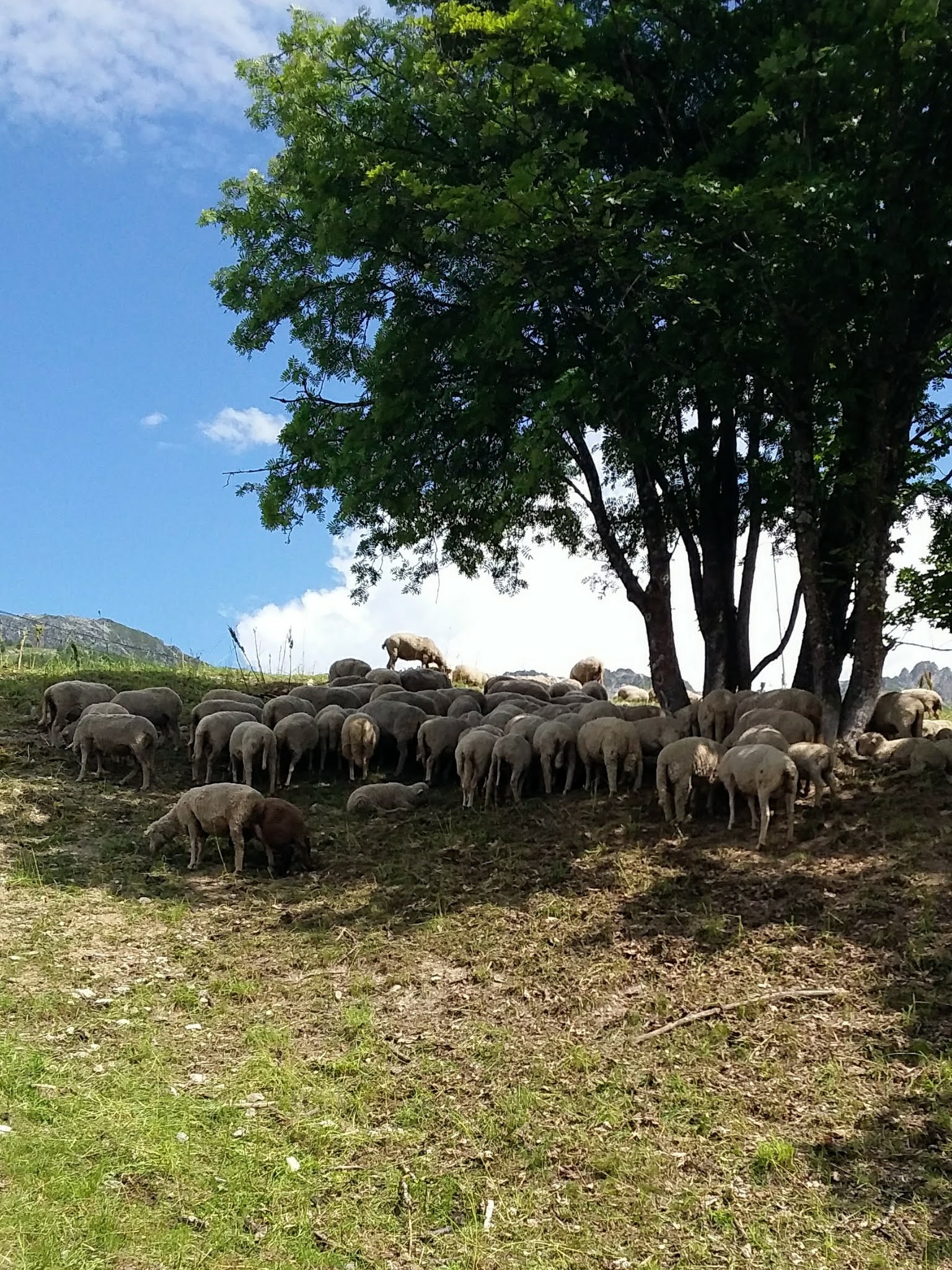 Photo n° 2 de l'avis de Josiane.o fait le 09/07/2023 à 09:24