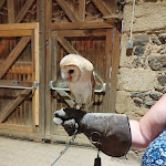 Photo n° 2 de l'avis de contrattak.e fait le 20/07/2022 à 06:23 pour Château Sainte-Anne à Marcilly-le-Châtel