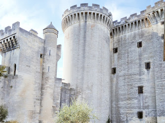 Château de Tarascon