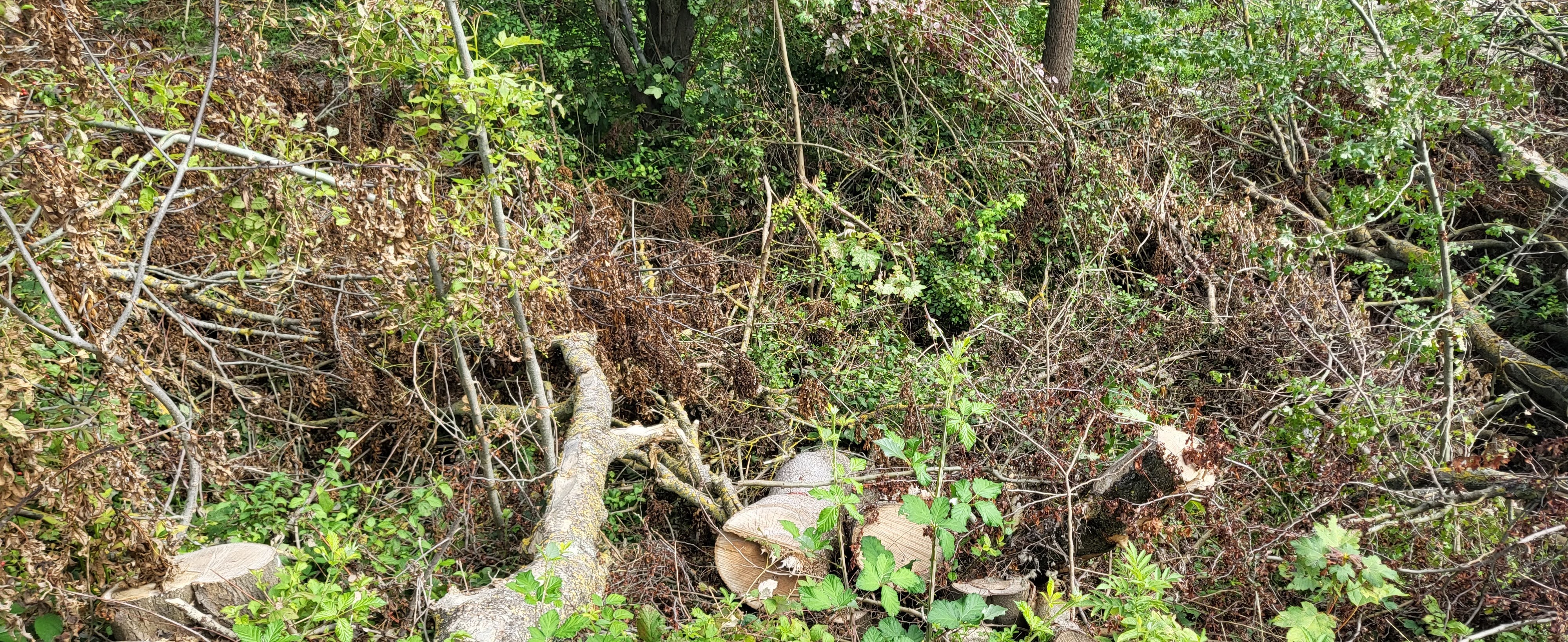 Photo n° 17 de l'avis de R. fait le 28/08/2023 à 09:54