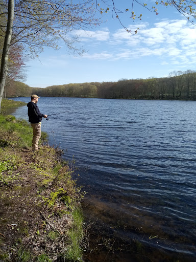 Golf Course «Crestbrook Golf Course», reviews and photos, 834 Northfield Rd, Watertown, CT 06795, USA