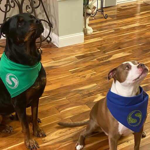 Auto Body Shop «Schaefer AutoBody Centers - Ellisville, MO», reviews and photos, 16109 Manchester Rd, Ellisville, MO 63011, USA