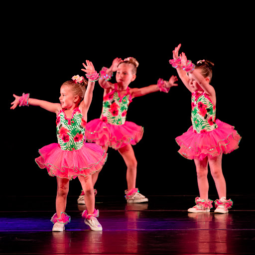 Dance School «Diamond School of Dance», reviews and photos, 2738 Mall Dr, Eau Claire, WI 54701, USA