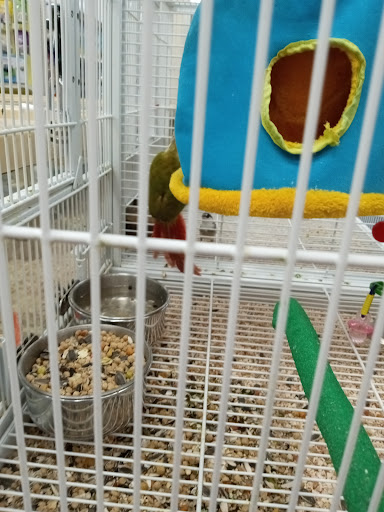 Pet Supply Store «Pet Supermarket», reviews and photos, 501 Cypress Gardens Blvd, Winter Haven, FL 33880, USA