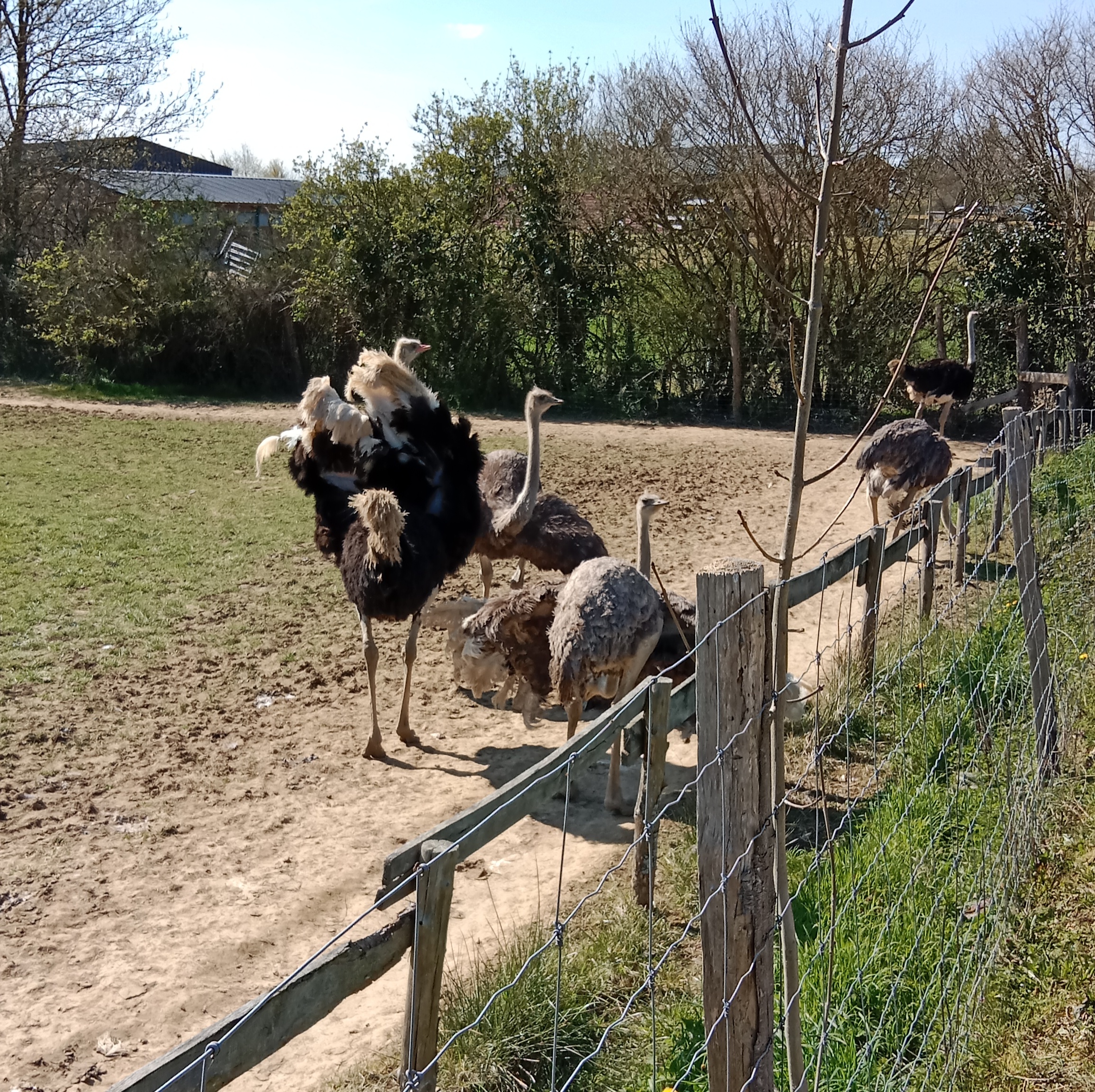 Photo n° 3 de l'avis de gil.o fait le 09/04/2023 à 08:07