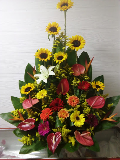 Floristeria la orquídea-sala de eventos la orquídea