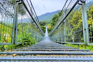 Nesher Park suspension bridges image