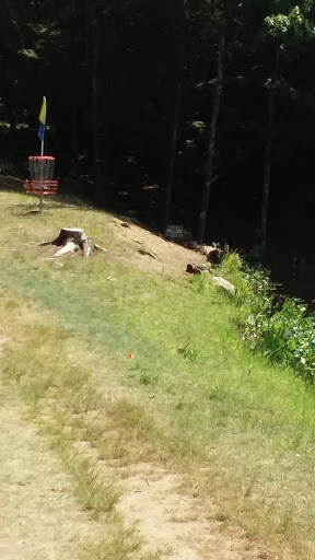 Outdoor Sports Store «Maple Hill Disc Golf», reviews and photos, 132 Marshall St, Leicester, MA 01524, USA