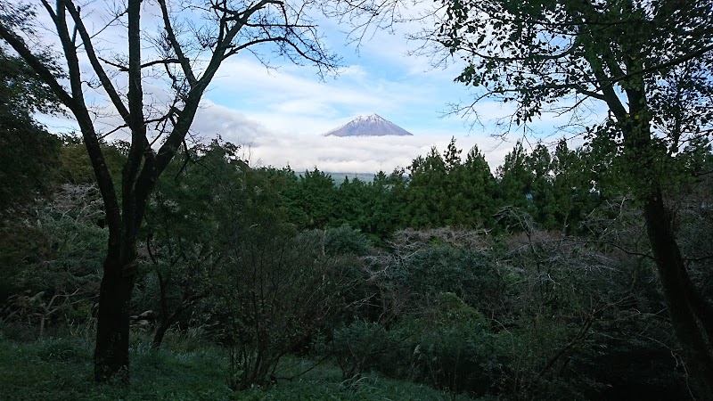 天神山自然観察の森
