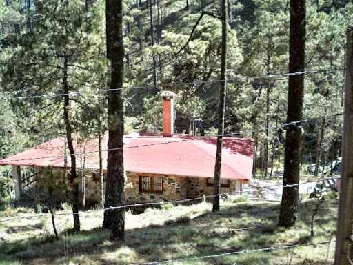 Cabañas Rusticas Buenavista